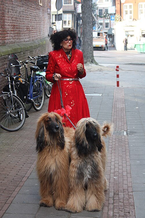 Overview of neospin casino australia Overview of neospin casino australia